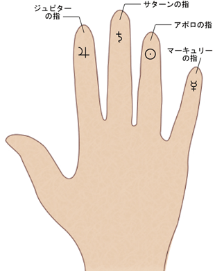 指の形