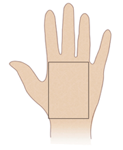 インテューティヴ・ハンド（the intutive hand）
